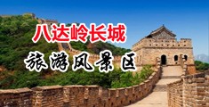 免费看大片操大逼中国北京-八达岭长城旅游风景区